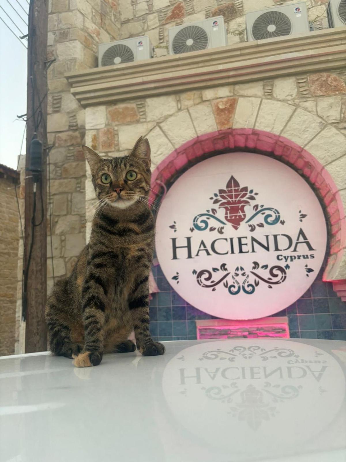 La Hacienda Cyprus Hotell Lemesós Eksteriør bilde